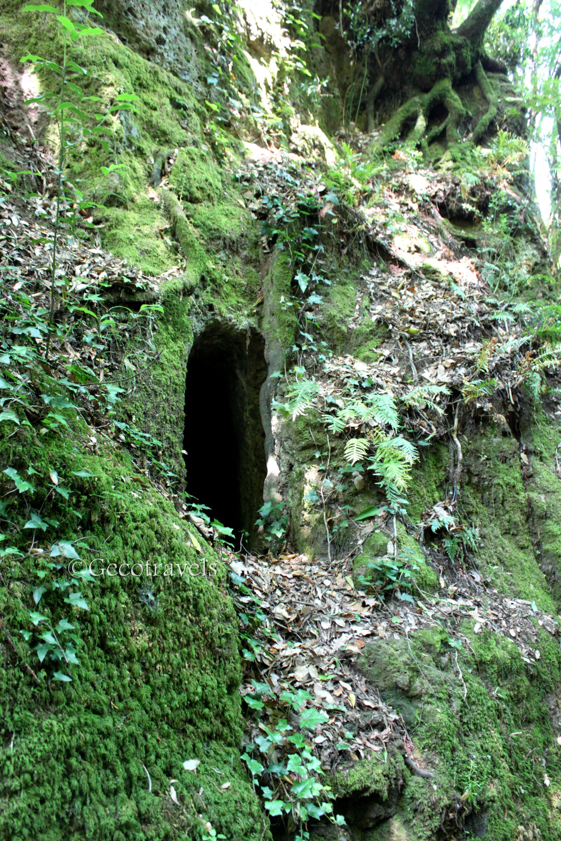 grotta della tagliata Vulsini