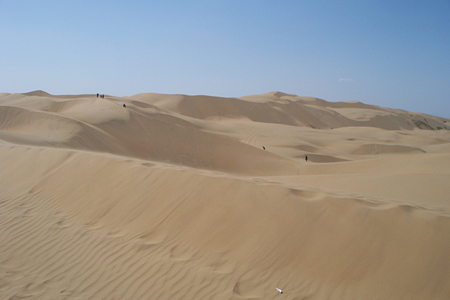 deserto del Gobi 