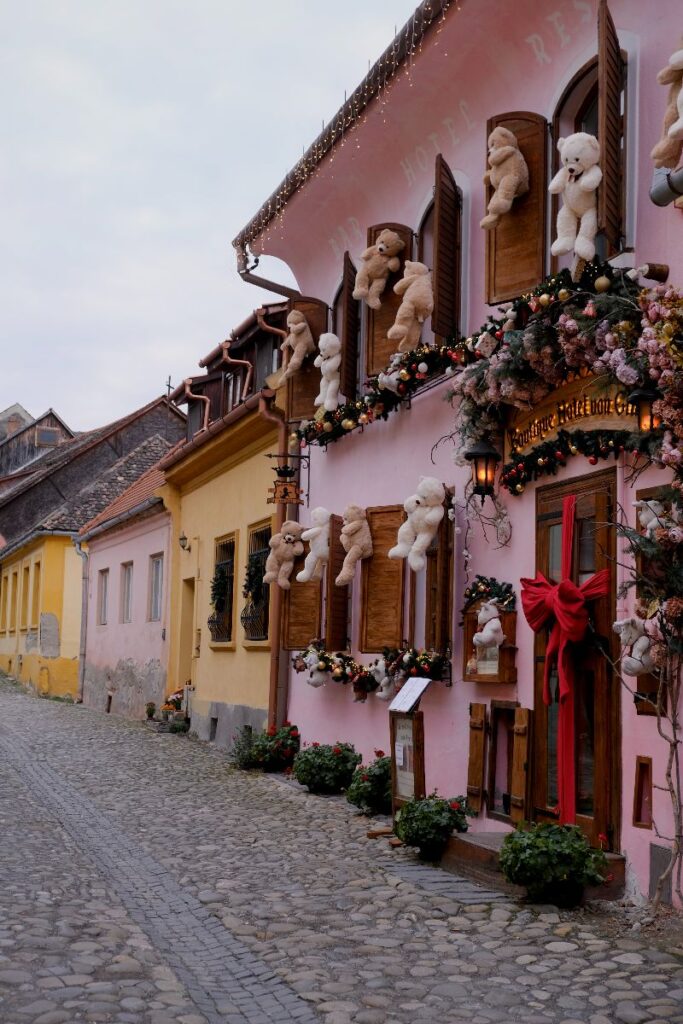 viuzze Sighisoara