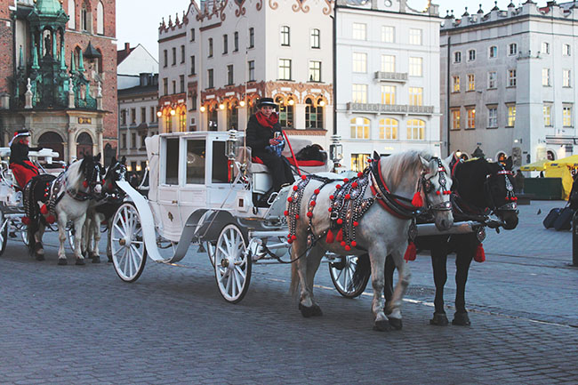 carrozze trainate da cavalli a Cracovia
