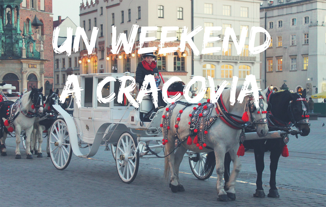 Un weekend a Cracovia (video)
