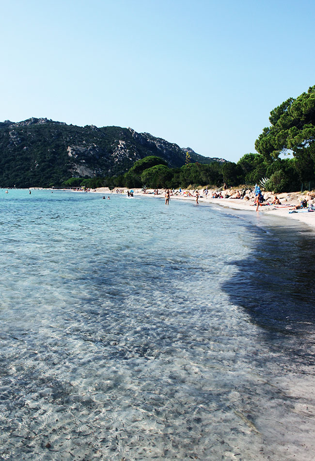 Le 5 Spiagge Più Belle Del Sud Della Corsica Geco Travels